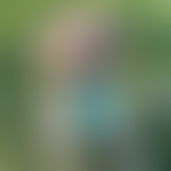  Chase the Reactive Cocker Spaniel 