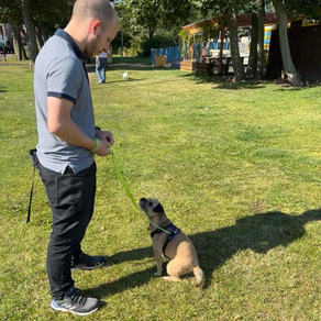 Another session with Bramble