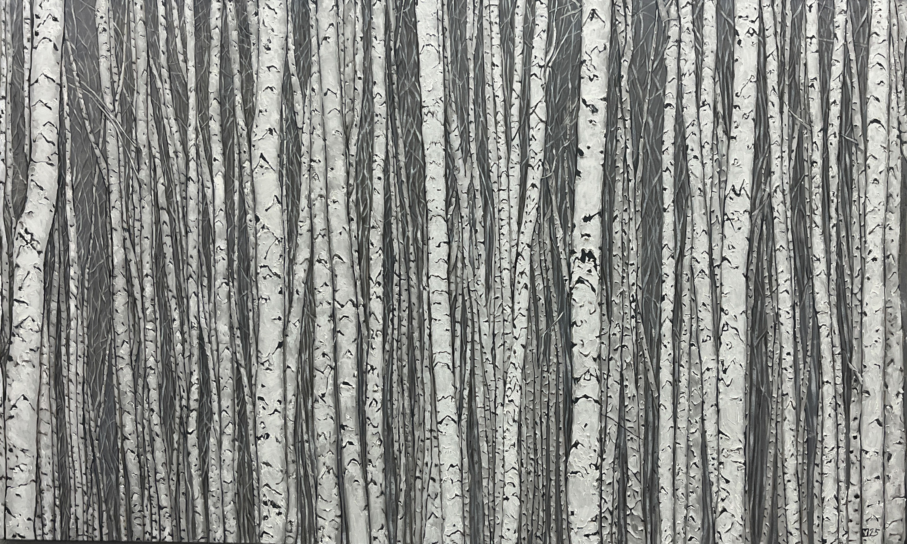 Birch Trees