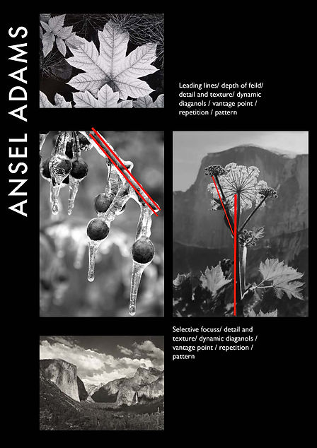 Ansel Adams stage 2 crit.jpg