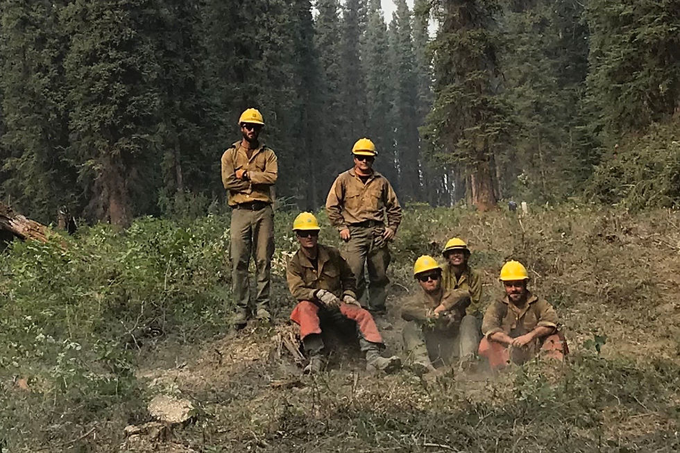Wildland Firefighters after prepping a fireline or a fire fuel break. experienced professional firefighters.