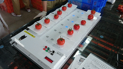 TC_GIF_tomato.gif