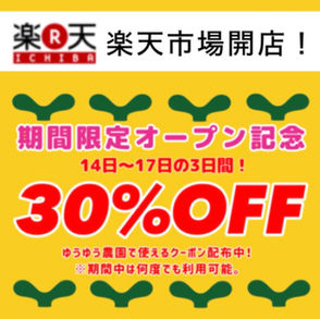 楽天❗️お買い得❗️17日まで❗️