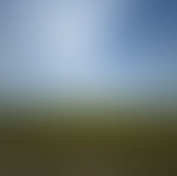 稲刈り終了しました！！