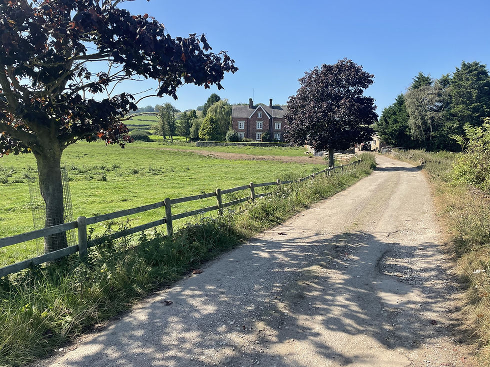 The Duffield Dairy