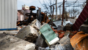 Building a Management System to Reduce Disaster Risk