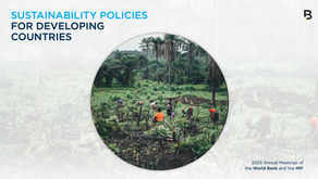 What should developing countries focus on to successfully implement sustainability policies?