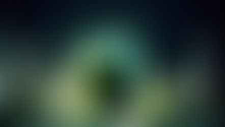 Managing Risks to Capture Growth Opportunities