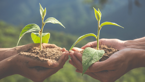 Collaboration and Innovation toward a GREATer Well-being for All