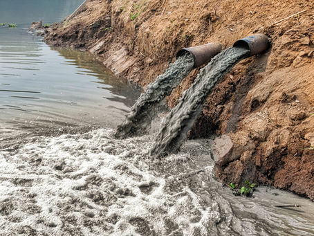 Transforming Wastewater into a Renewable Resource