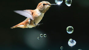 The Carbon Bubble: A Call To Action For the Future of Energy