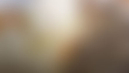 Tackling the Challenges of Economic Divergence