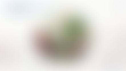 Innovative financial mechanism