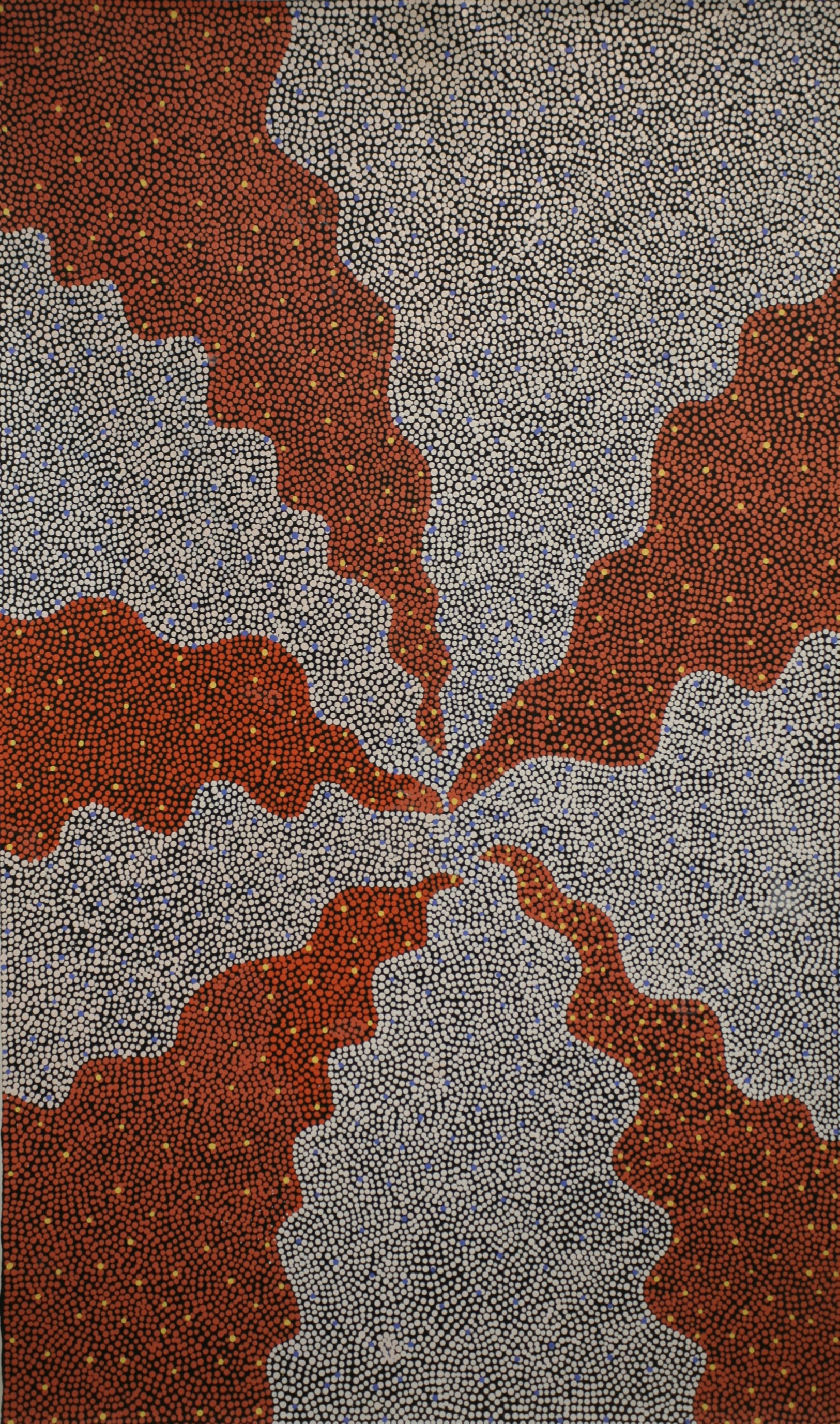 Josie Petrick Kemarre - Bush seeds 4