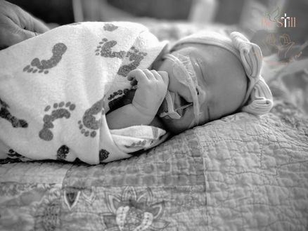 Blakely Jade Brem