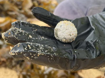 Estranhas “bolas de detritos” voltam a aparecer nas praias da Costa Central de NSW e levantam alerta ambiental.