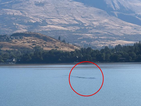 Criatura Misteriosa é Filmada no Lago Kalamalka, no Canadá, e Intriga Moradores e Pesquisadores.
