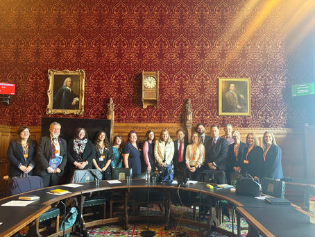 Last week I co-hosted a roundtable with Alex Baker MP and Minister for School Standards Georgia Gould on an issue I care deeply about; the experiences of Armed Forces families with children who have Special Educational Needs or Disabilities.     