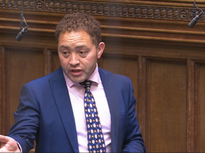 Parliamentary intervention on Israel
