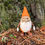 Thumbnail: Big Eye Gnome