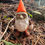 Thumbnail: Big Eye Gnome