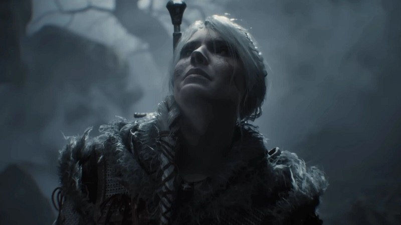 The Witcher 4 