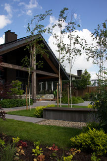 Moderne achtertuin met veranda, jonge bomen, strakke paden en groene borders.