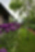IMG_6729 Edited.jpg