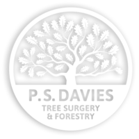 ps-davies-logo-200x200.png