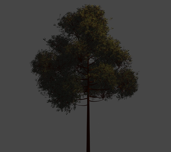 taller tree render.png