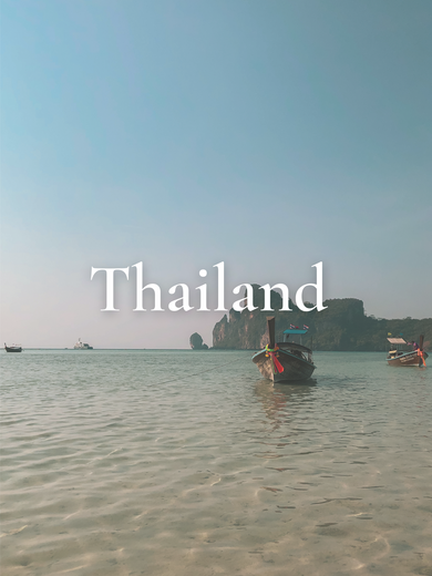 Travel Website (5).png