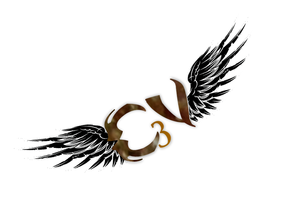 C3V Valkrill B