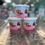 Thumbnail: Salty Paws Ice Cream Birthday Cake-3 pk w/sprinkles
