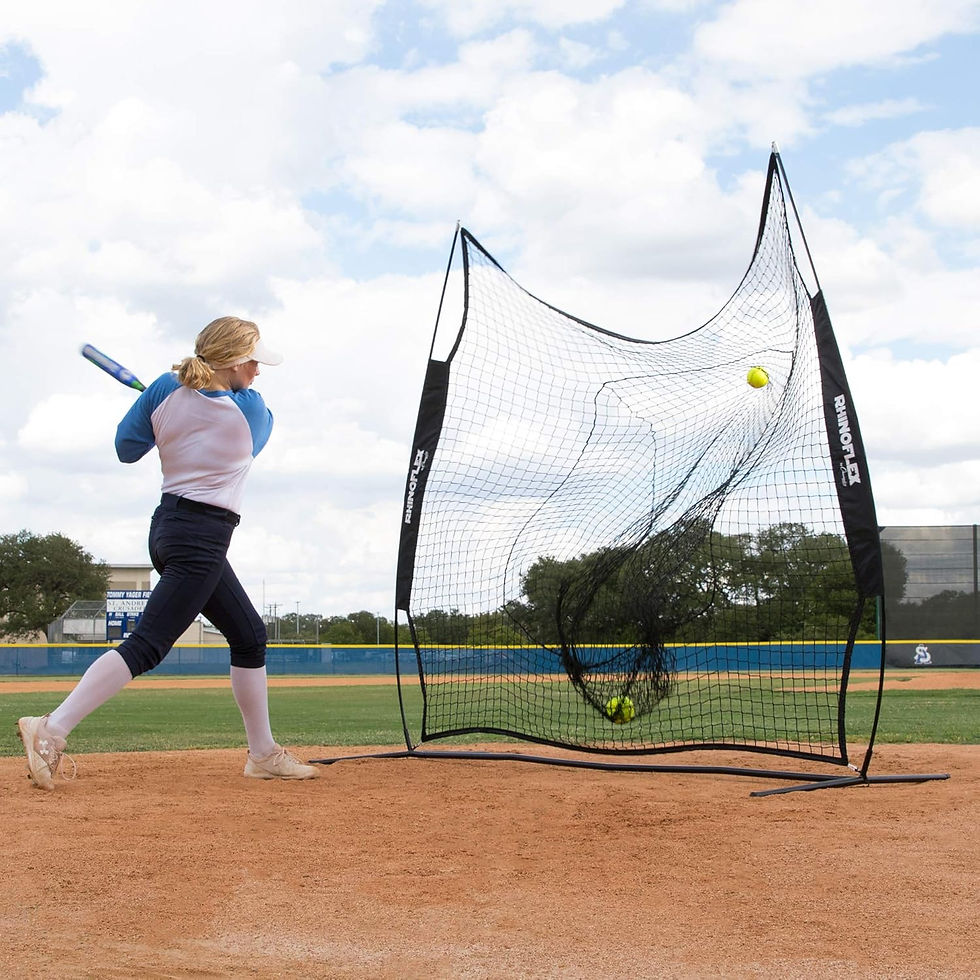Thumbnail: Portable Training Baseball Net