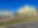 IMG_3902.PNG