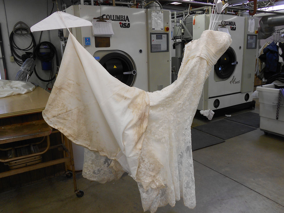 Vogue dry cleaners