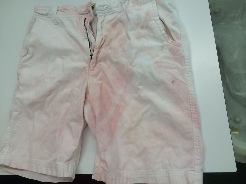 Vogue dry cleaners