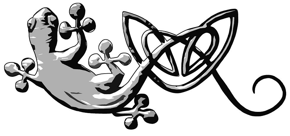 Lizard_3Tone transparent (2020_04_03 09_11_38 UTC)