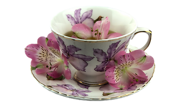  a tea cup with flowers promoting voice lessons at VocalzMusic & Publishing