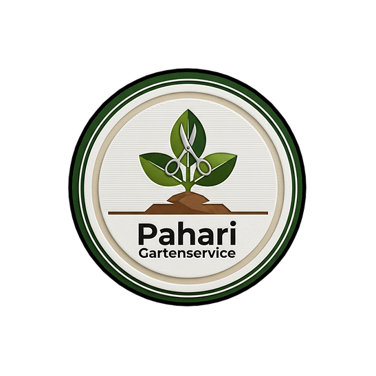 Adobe Express - file 2 22.png