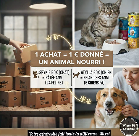 box solidaire_edited.jpg