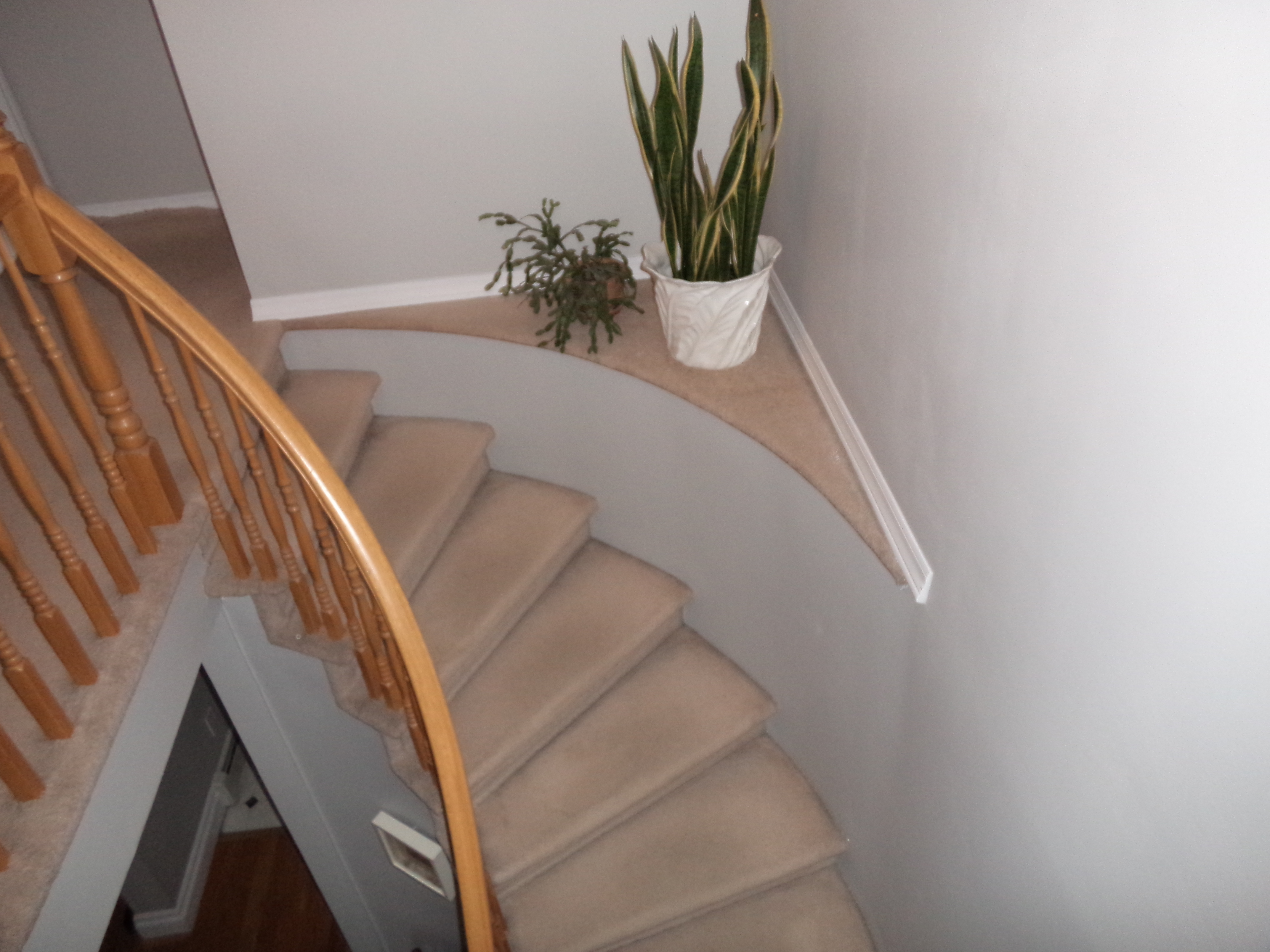 Renovation Four