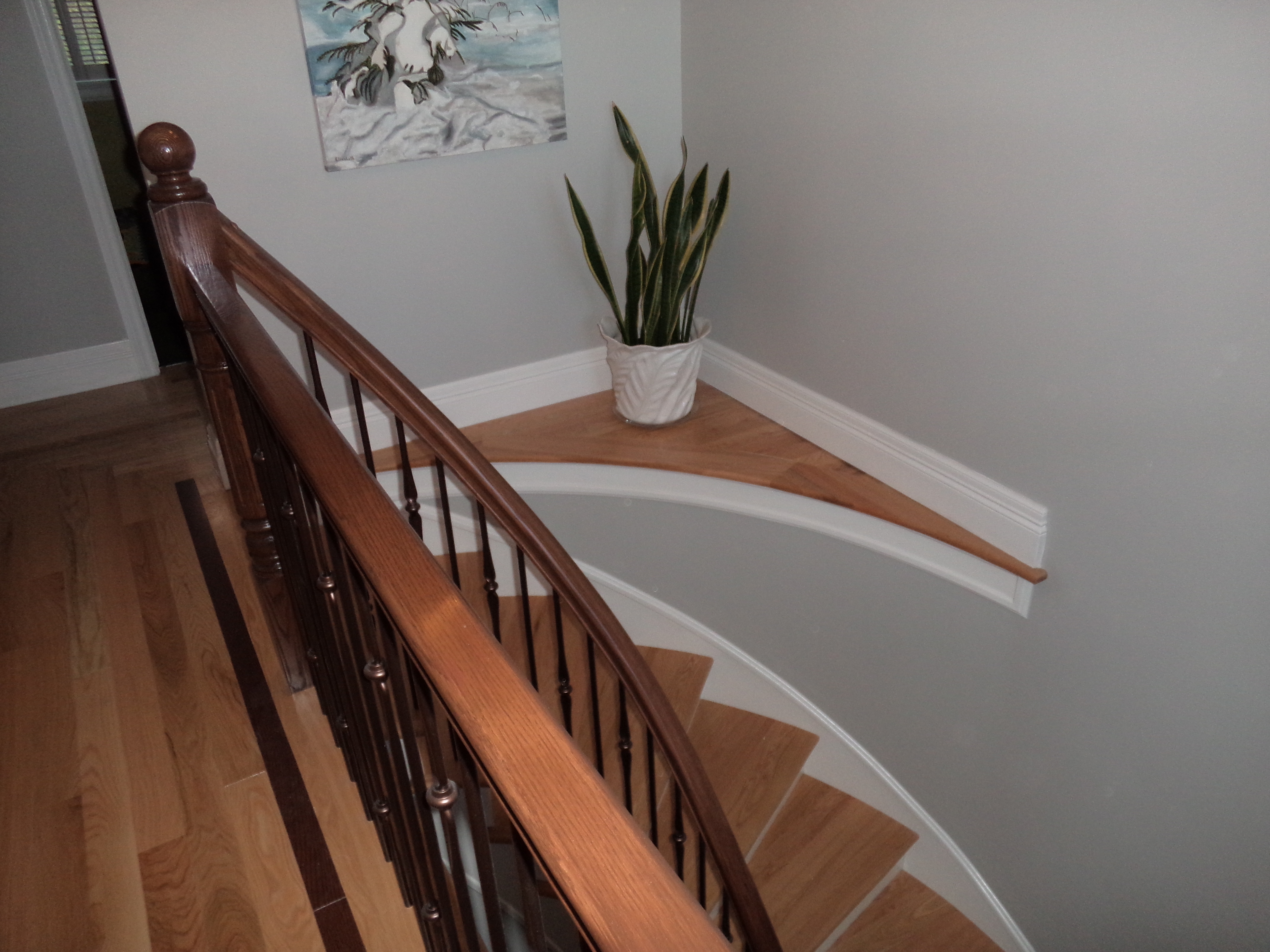 Renovation Four