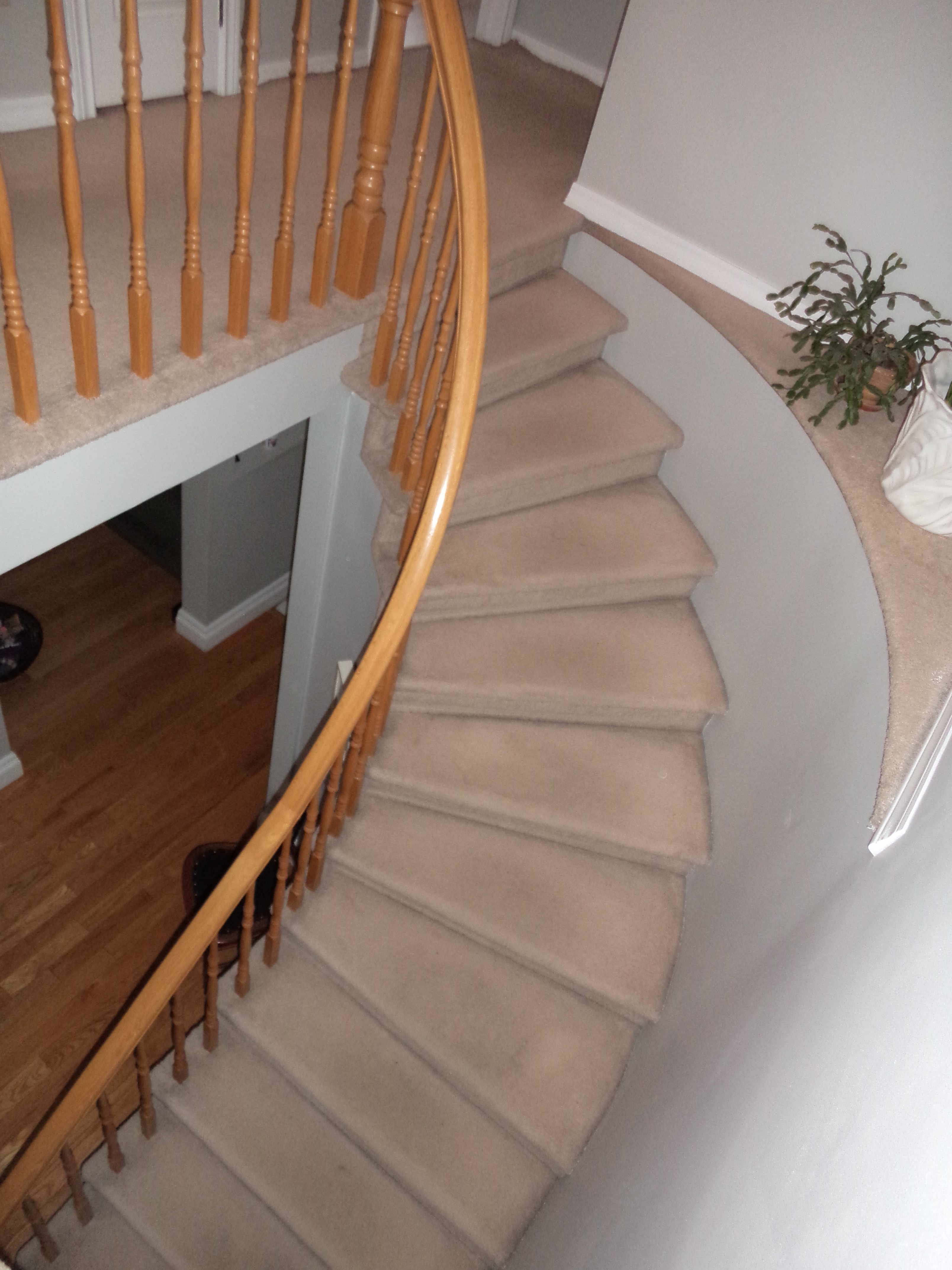 Renovation Four