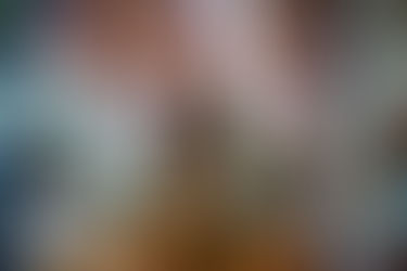 Revolutionäre Kundenbindung, die Herzen erobert und Märkte verändert