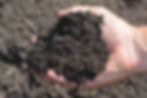 PLANTING SOIL