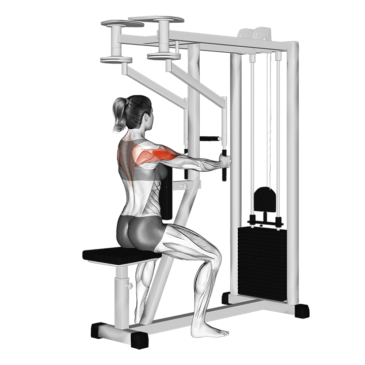 Reverse Pec Dec Machine Her G n Daha F T 