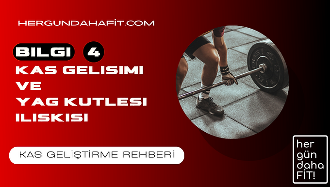 kas gelisimi ve yag kutlesi iliskisi