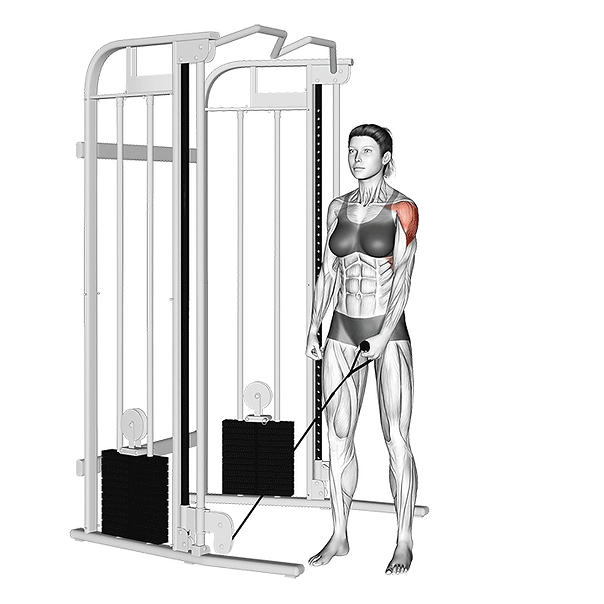 cable one arm lateral raise