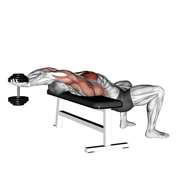 dumbbell pullover